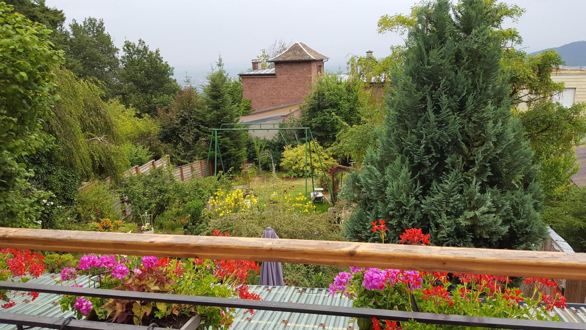 Les Iris Chambres d’hôte Niedermorschwihr Quarto foto