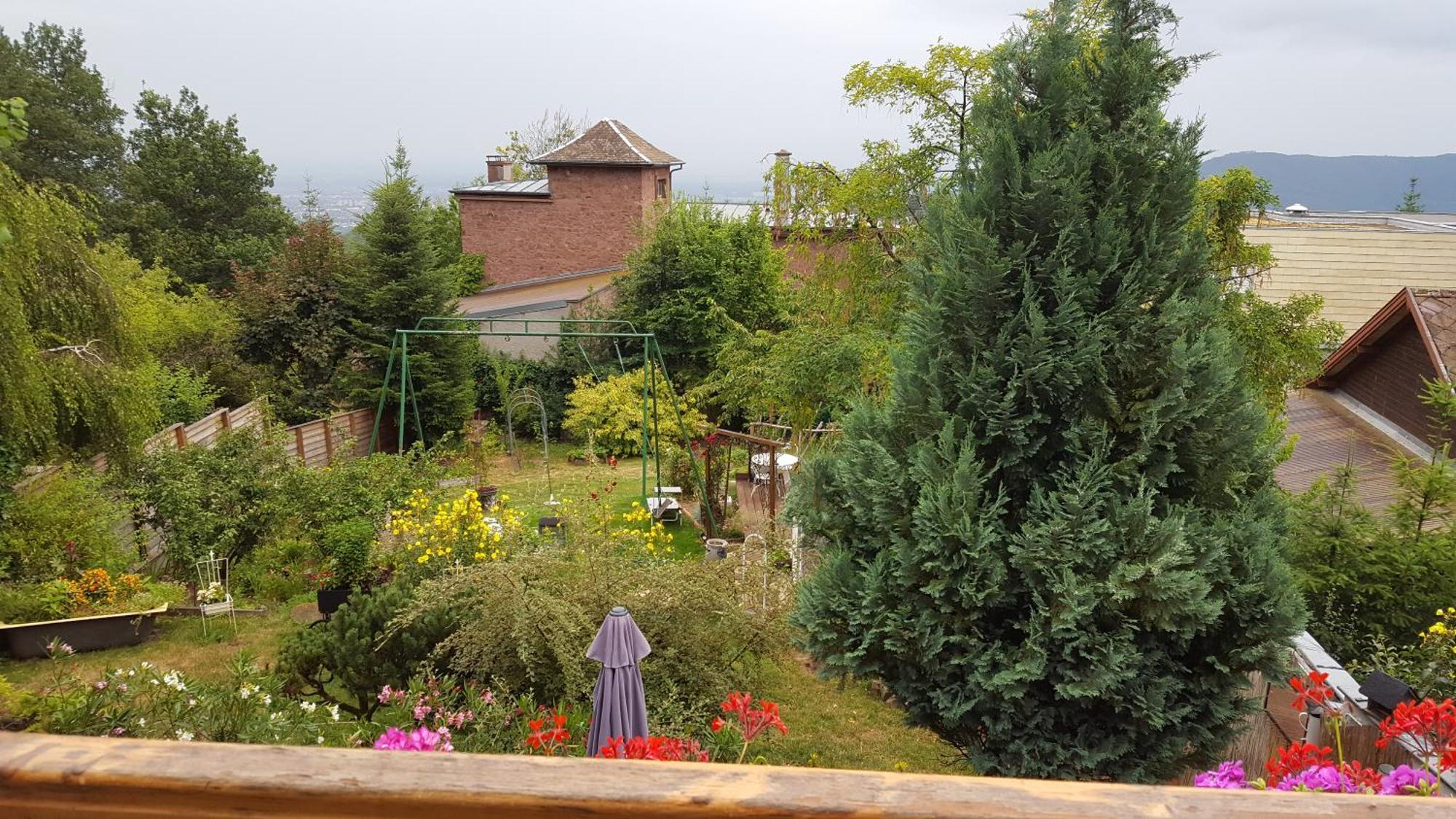 Les Iris Chambres d’hôte Niedermorschwihr Quarto foto